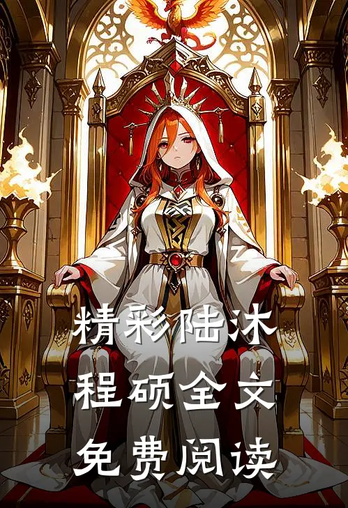 精彩陆沐程硕全文免费阅读