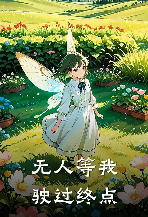 无人等我驶过终点的路