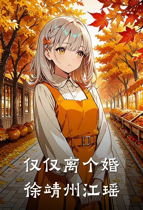 仅仅离个婚徐靖州江瑶
